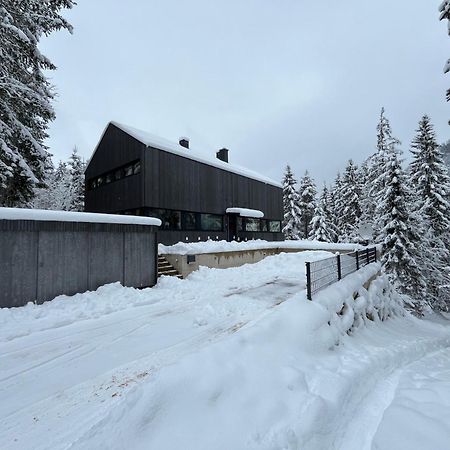 NEW: Chalet Dachstein Ramsau am Dachstein Exterior foto