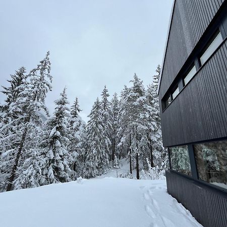 NEW: Chalet Dachstein Ramsau am Dachstein Exterior foto